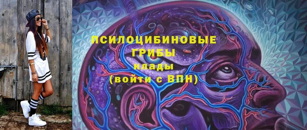 прущие грибы Белокуриха