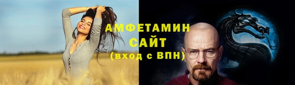 прущие грибы Белокуриха