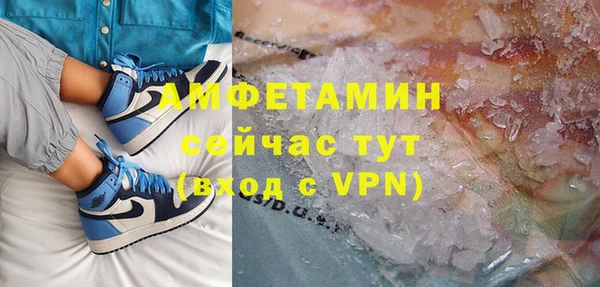 прущие грибы Белокуриха