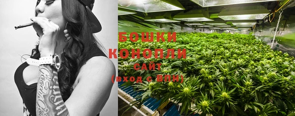прущие крисы Белоозёрский