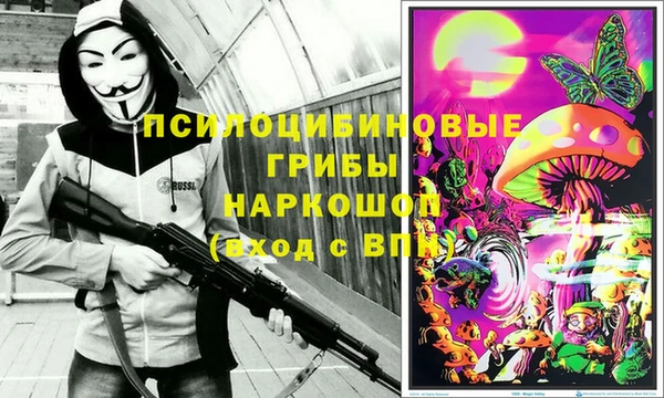 бошки Беломорск