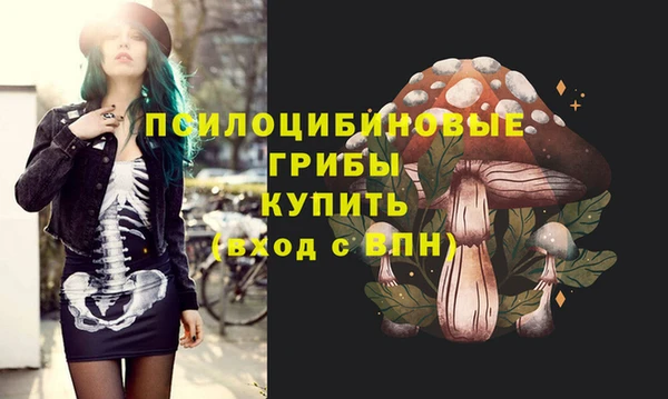 бошки Беломорск