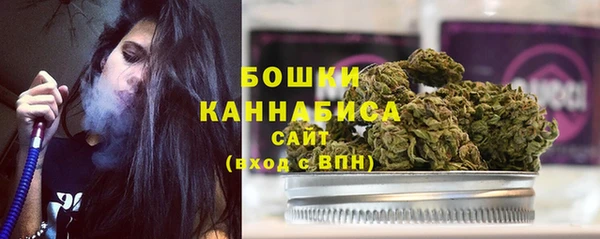 прущие грибы Белокуриха